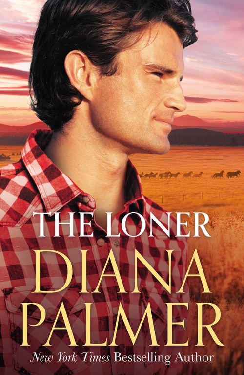 The Loner (9781848459199)