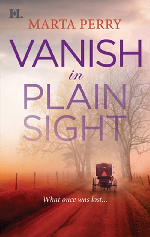 Vanish in Plain Sight (Brotherhood of the Raven, Book 2): First edition (9781472053763)