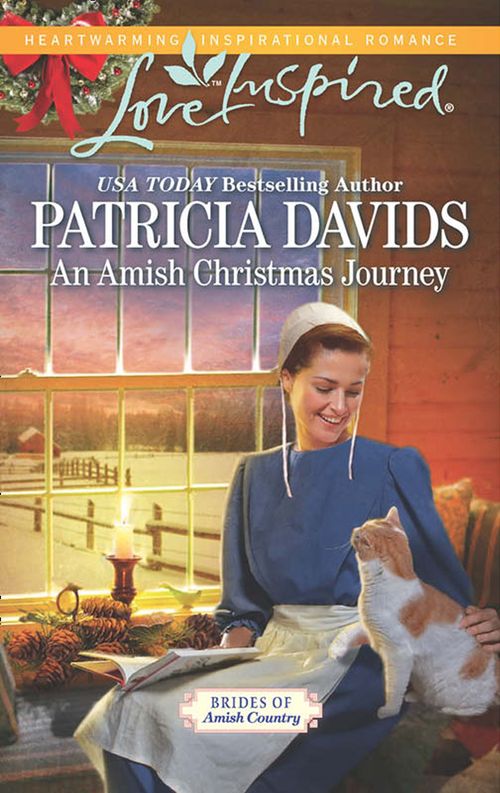 An Amish Christmas Journey (Mills & Boon Love Inspired) (Brides of Amish Country, Book 13): First edition (9781472072764)