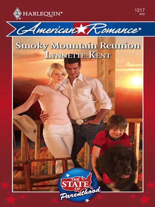 Smoky Mountain Reunion (The State of Parenthood, Book 2) (Mills & Boon Love Inspired): First edition (9781408958438)