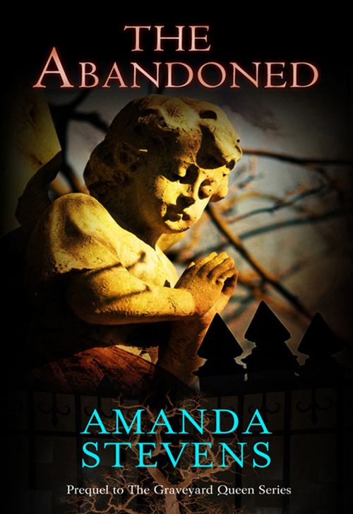 The Abandoned (The Graveyard Queen Series, Book 4): First edition (9781408997246)