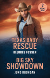 Texas Baby Rescue / Big Sky Showdown: Texas Baby Rescue (Renegade Canyon) / Big Sky Showdown (Ironside Protection Services) (Mills & Boon Heroes) by Delores Fossen and Juno Rushdan (9780263420159)
