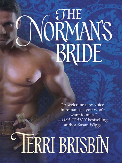 The Norman's Bride (Mills & Boon Historical): First edition by Terri Brisbin (9781408938454)