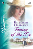 Taming of the Two (Mills & Boon Silhouette) by Elizabeth Harbison