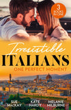 Irresistible Italians: One Perfect Moment: The Italian Surgeon's Secret Baby / Finding Mr Right in Florence / His Final Bargain by Sue MacKay, Kate Hardy and Melanie Milburne