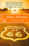 Promises To Keep (Mills & Boon Heartwarming) by Shirley Hailstock