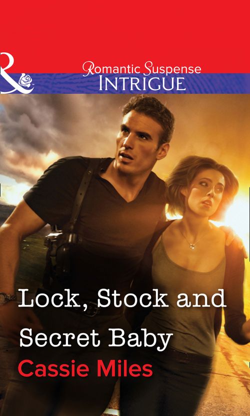 Lock, Stock and Secret Baby (Mills & Boon Intrigue) by Cassie Miles