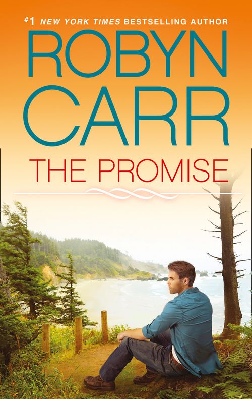 The Promise (Thunder Point, Book 5): First edition (9781472096616)