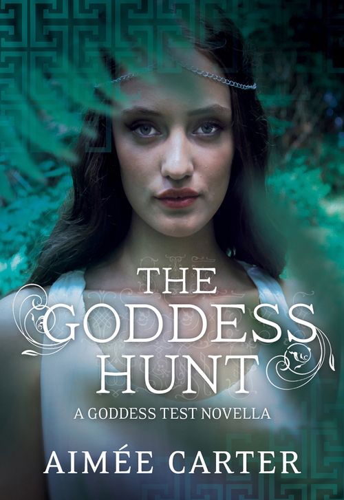 The Goddess Hunt: First edition (9781408994825)