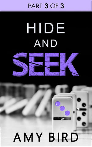 Hide And Seek (Part 3): First edition by Amy Bird (9781474007603)