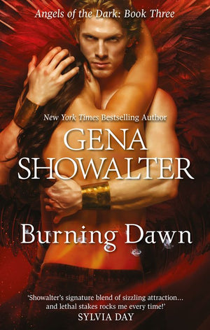 Burning Dawn (Angels of the Dark, Book 3): First edition (9781472074676)