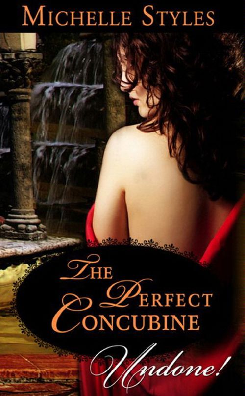 The Perfect Concubine (Mills & Boon Historical Undone): First edition by Michelle Styles (9781408935781)