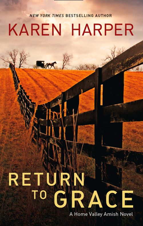 Return to Grace: First edition (9781408969724)