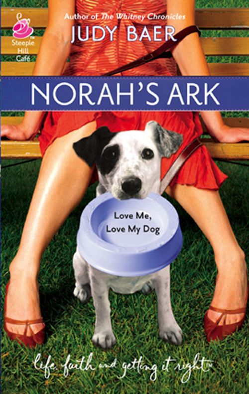 Norah's Ark (Mills & Boon Silhouette): First edition by Judy Baer (9781472091338)