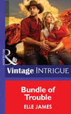 Bundle Of Trouble (Mills & Boon Intrigue) by Elle James