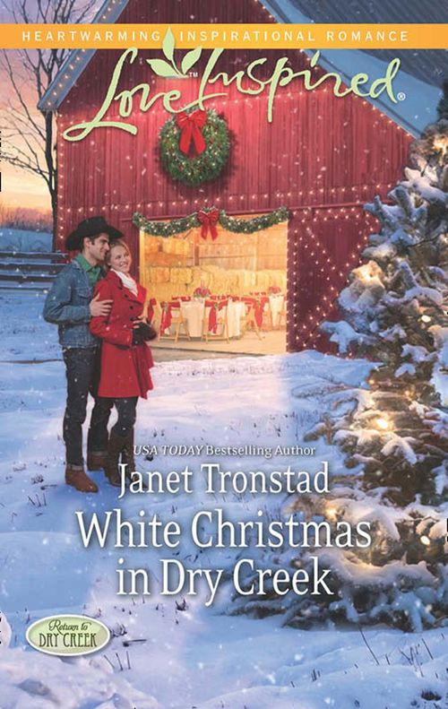 White Christmas In Dry Creek (Return to Dry Creek, Book 5) (Mills & Boon Love Inspired): First edition by Janet Tronstad (9781472014047)