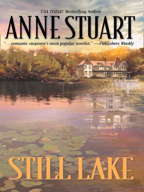Still Lake: First edition (9781408956205)