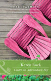 Under An Adirondack Sky (A Walsh Family Story, Book 3) (Mills & Boon Heartwarming) by Karen Rock