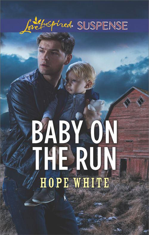 Baby On The Run (The Baby Protectors) (Mills & Boon Love Inspired Suspense) (9781474080590)