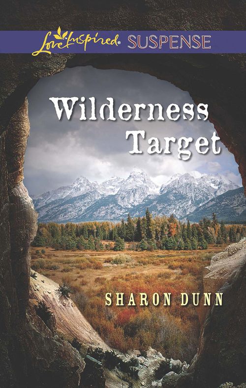 Wilderness Target (Mills & Boon Love Inspired Suspense): First edition (9781472073617)