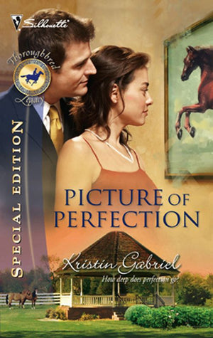 Picture Of Perfection (Mills & Boon Silhouette): First edition (9781472093158)