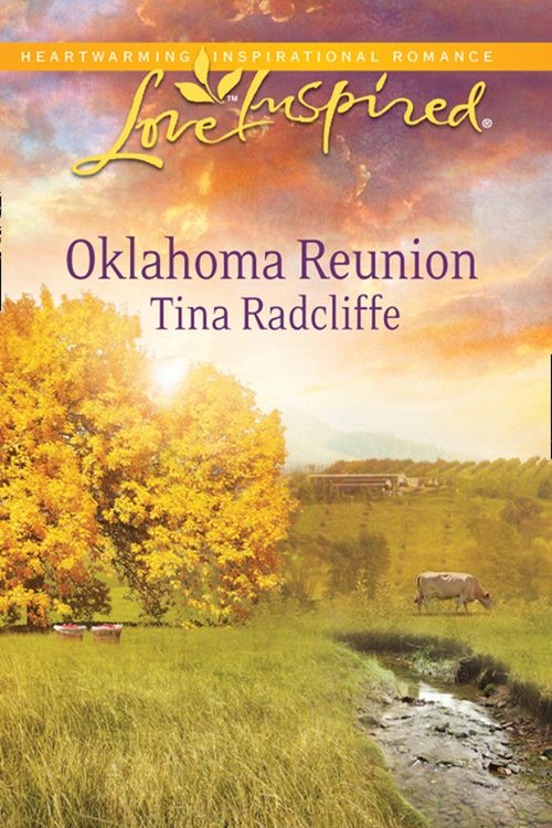 Oklahoma Reunion (Mills & Boon Love Inspired): First edition (9781408956915)