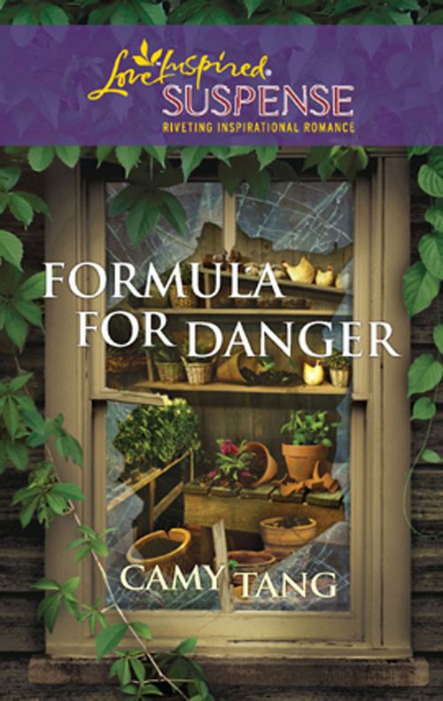 Formula for Danger (Mills & Boon Love Inspired): First edition (9781472023544)