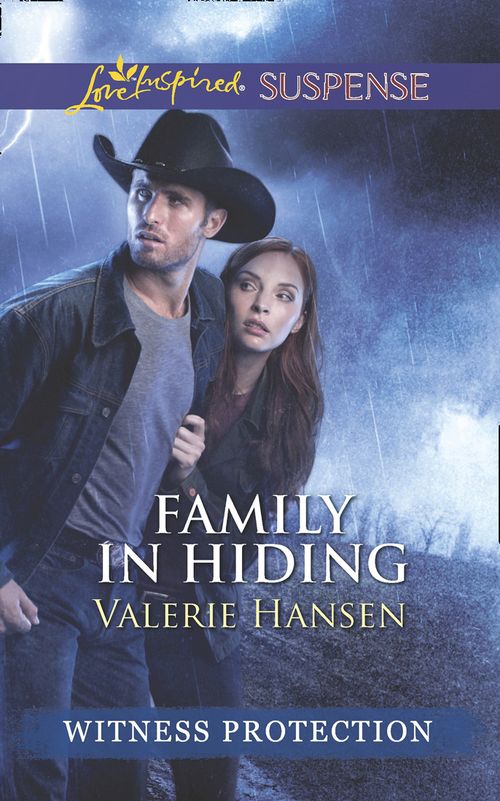 Family In Hiding (Witness Protection) (Mills & Boon Love Inspired Suspense): First edition (9781472073440)