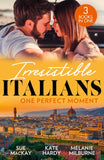 Irresistible Italians: One Perfect Moment: The Italian Surgeon's Secret Baby / Finding Mr Right in Florence / His Final Bargain (9780263319101)