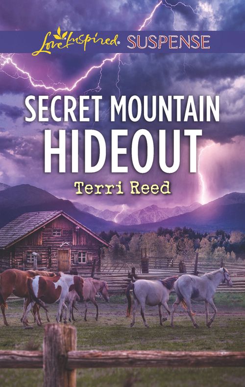 Secret Mountain Hideout (Mills & Boon Love Inspired Suspense) (9780008900847)