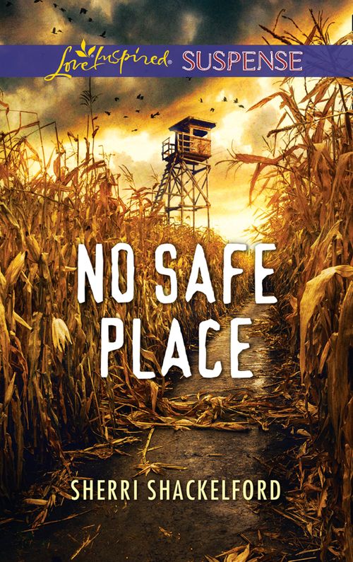 No Safe Place (Mills & Boon Love Inspired Suspense) (9781474090520)