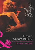 Long Slow Burn (Checking E-Males, Book 2) (Mills & Boon Blaze): First edition (9781408968925)