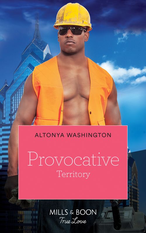 Provocative Territory (Kimani Hotties, Book 38): First edition (9781472010148)