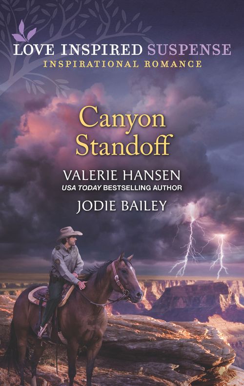 Canyon Standoff: Canyon Under Siege / Missing in the Wilderness (Mills & Boon Love Inspired Suspense) (9780008906702)