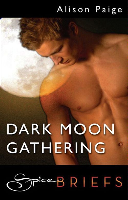 Dark Moon Gathering (Mills & Boon Spice Briefs): First edition (9781408917565)